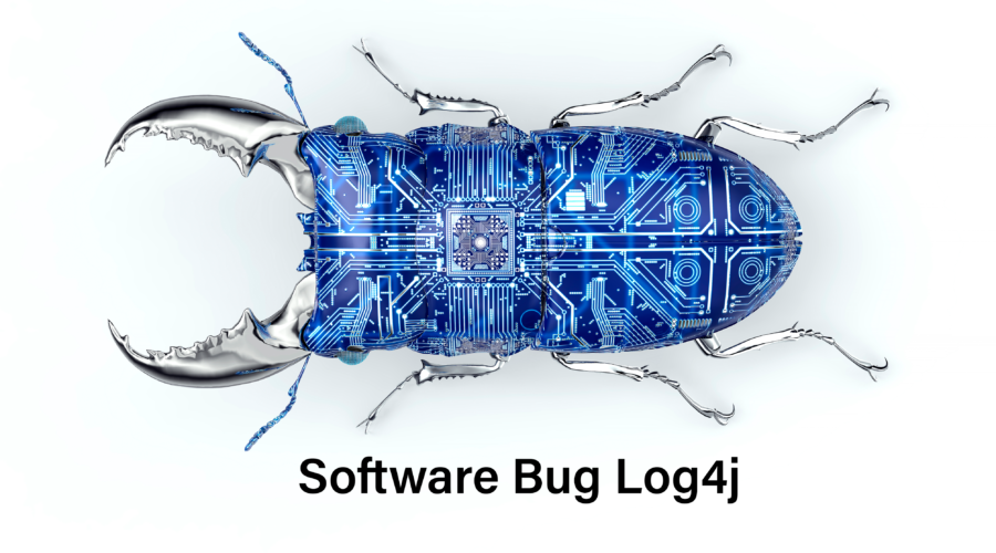 Software Bug Log4j